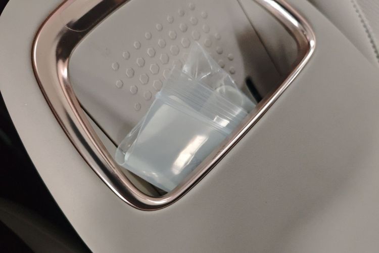 极氪 极氪X 2024 汽车图片 #9