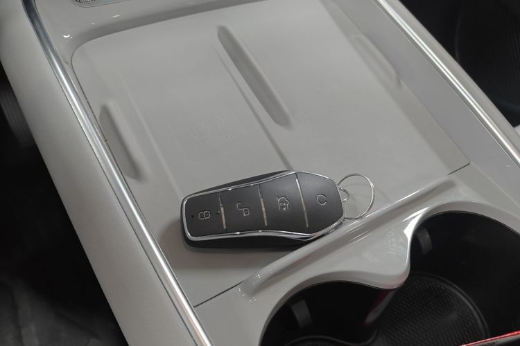 BYD Sea Lion 05 EV 2025 car image #9