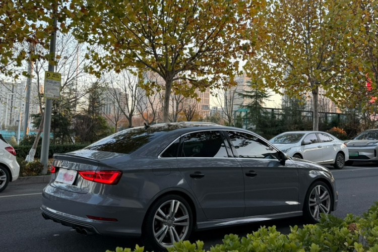 奥迪 奥迪S3 2016 汽车图片 #9