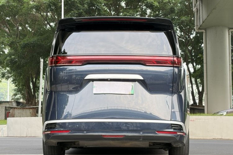 Denza D9 2023 imagen de coche #9