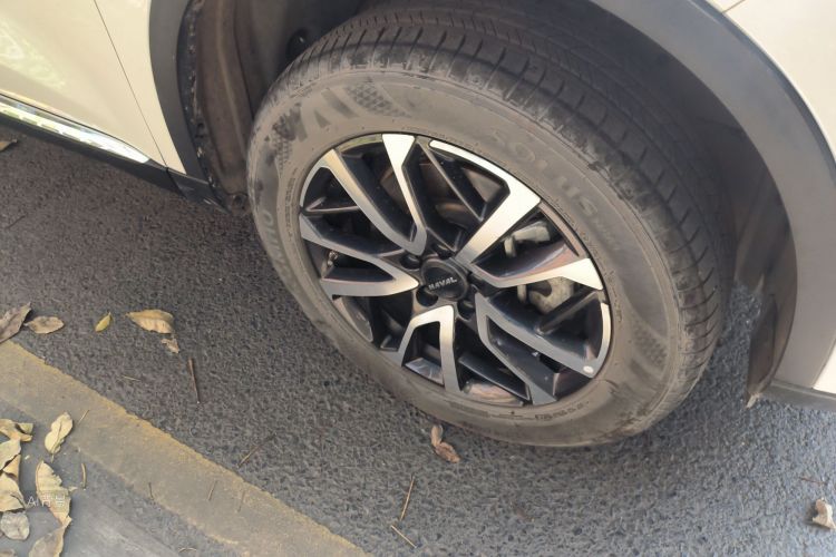 Haval H6 2023 immagine di auto #9