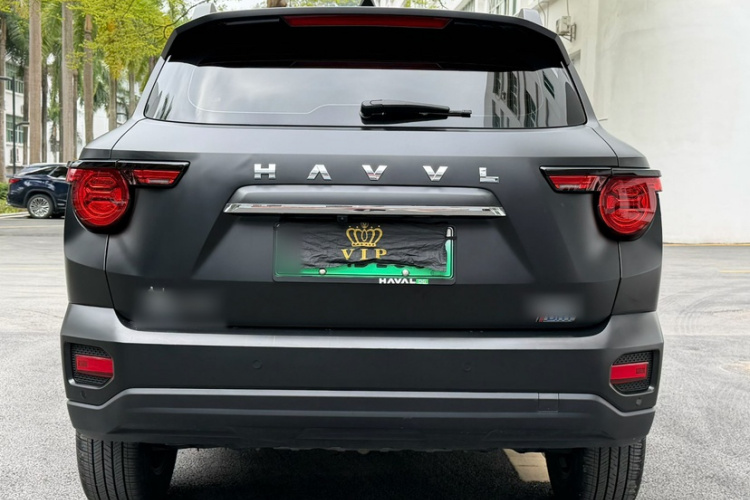 Haval X Dog 2 New Energy 2023 car image #9