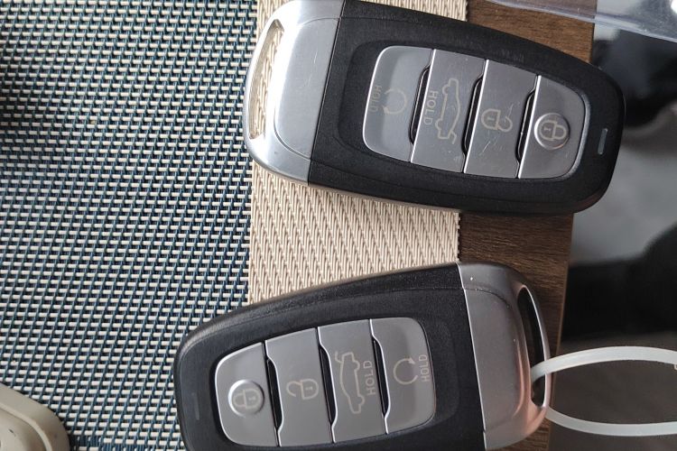 HongQi E-HS9 2023 immagine di auto #9