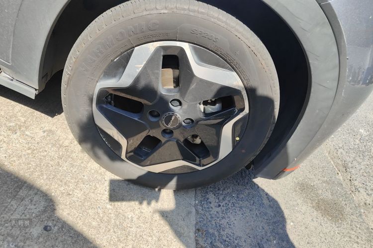 BYD Dolphin 2022 imagem de carro #9