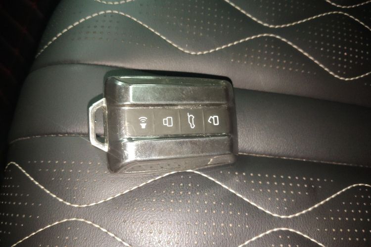 Tank 300 2022 immagine di auto #9