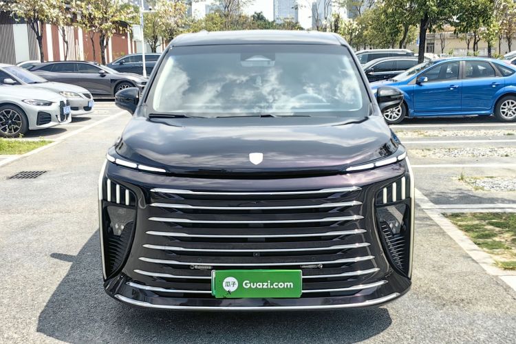 Forthing V9 2024 immagine di auto #9