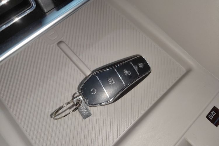 BYD Song Plus New Energy 2025 immagine di auto #9