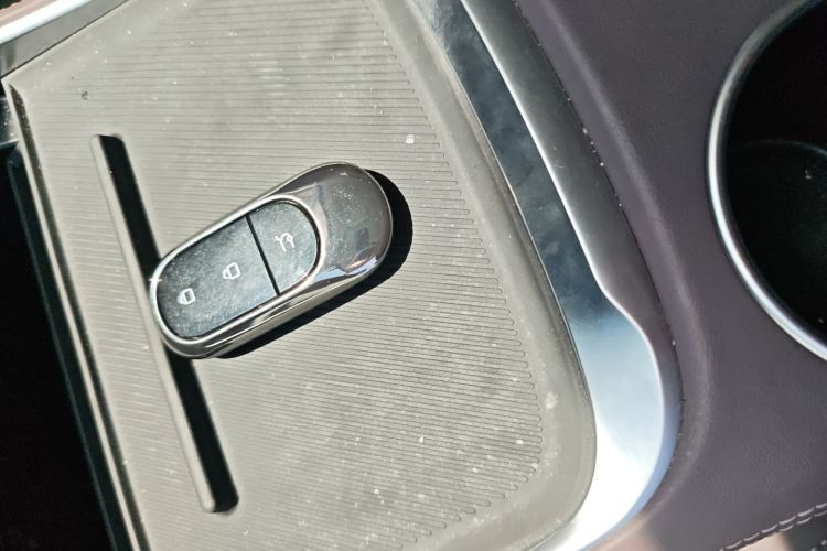 Leapmotor C11 2023 car image #9