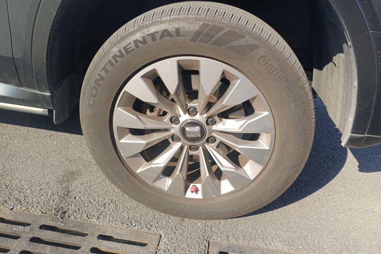 Tank 500 New Energy 2024 immagine di auto #9