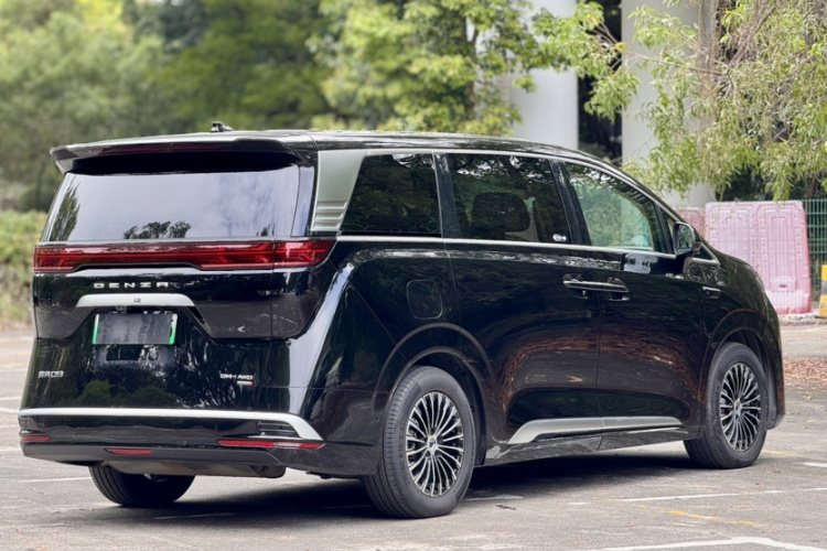 Denza D9 2025 изображение автомобиля #9