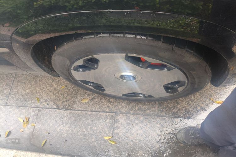 极氪 极氪9X 2025 汽车图片 #9