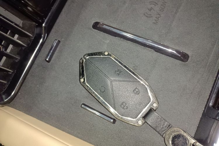 FangChengBao Leopard 8 2024 imagem de carro #9