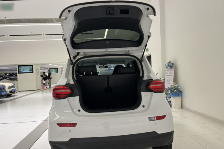 零跑汽车 零跑T03 2022 汽车图片 #9