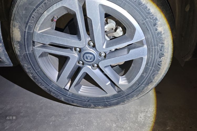 Changan CS55 2019 car image #9