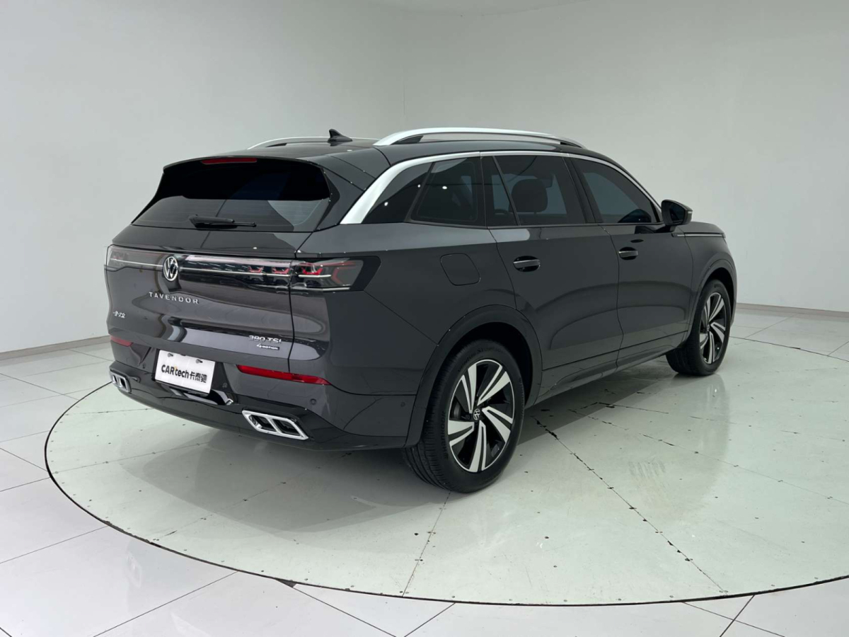 Volkswagen Tavendor 2023 car image #9