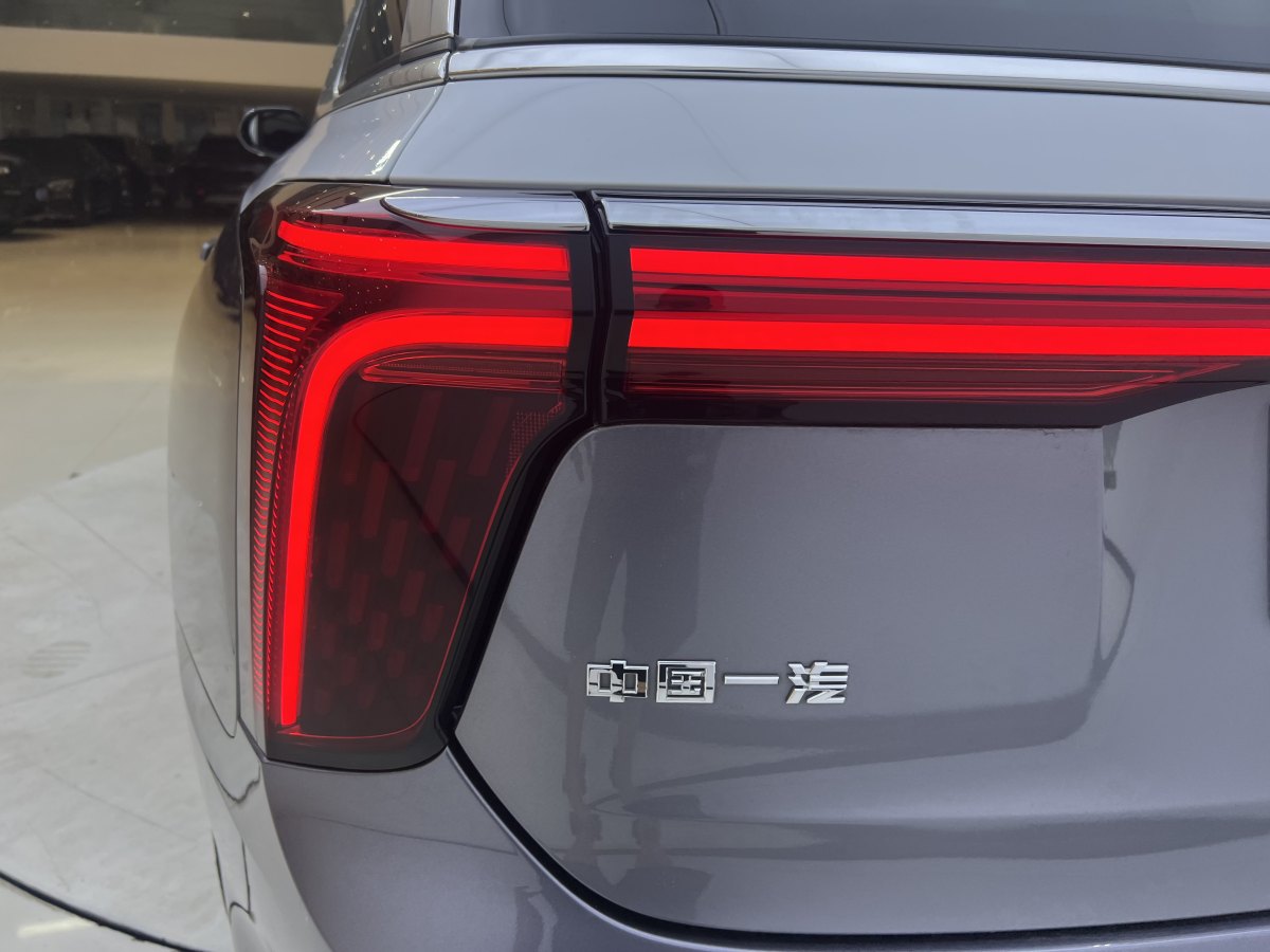 HongQi E-HS9 2022 car image #9