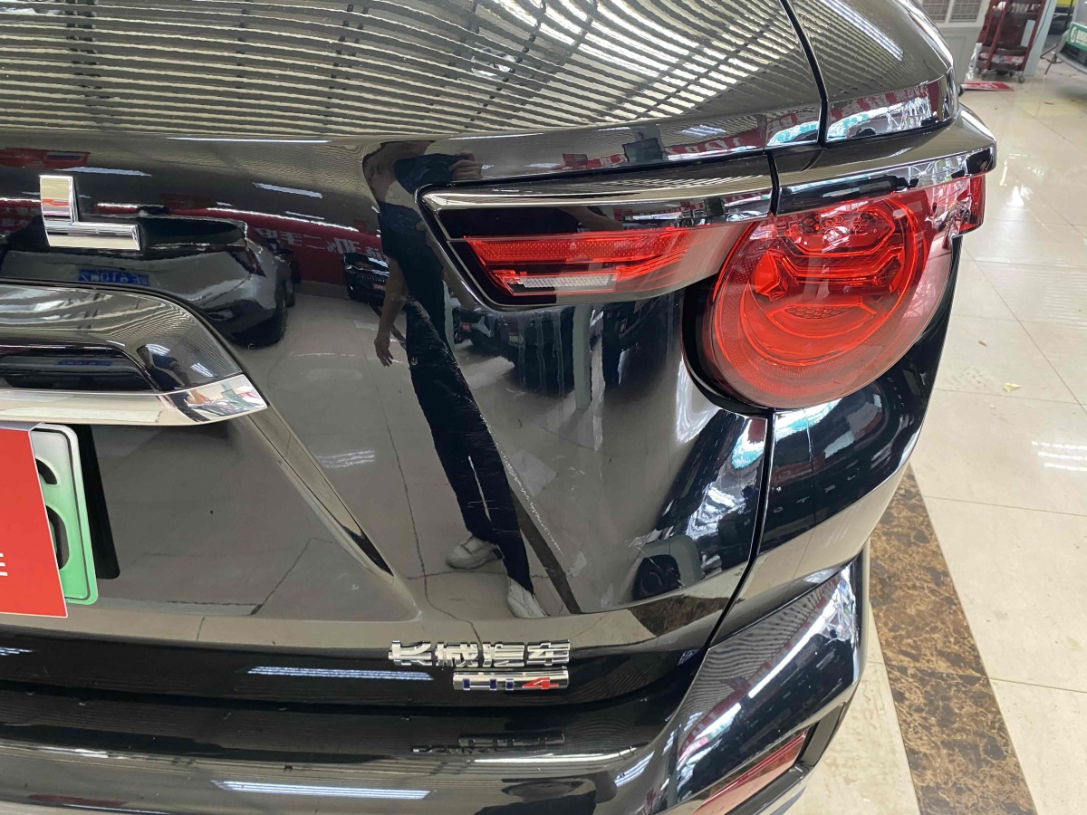 Haval X Dog 2 New Energy 2024 car image #9