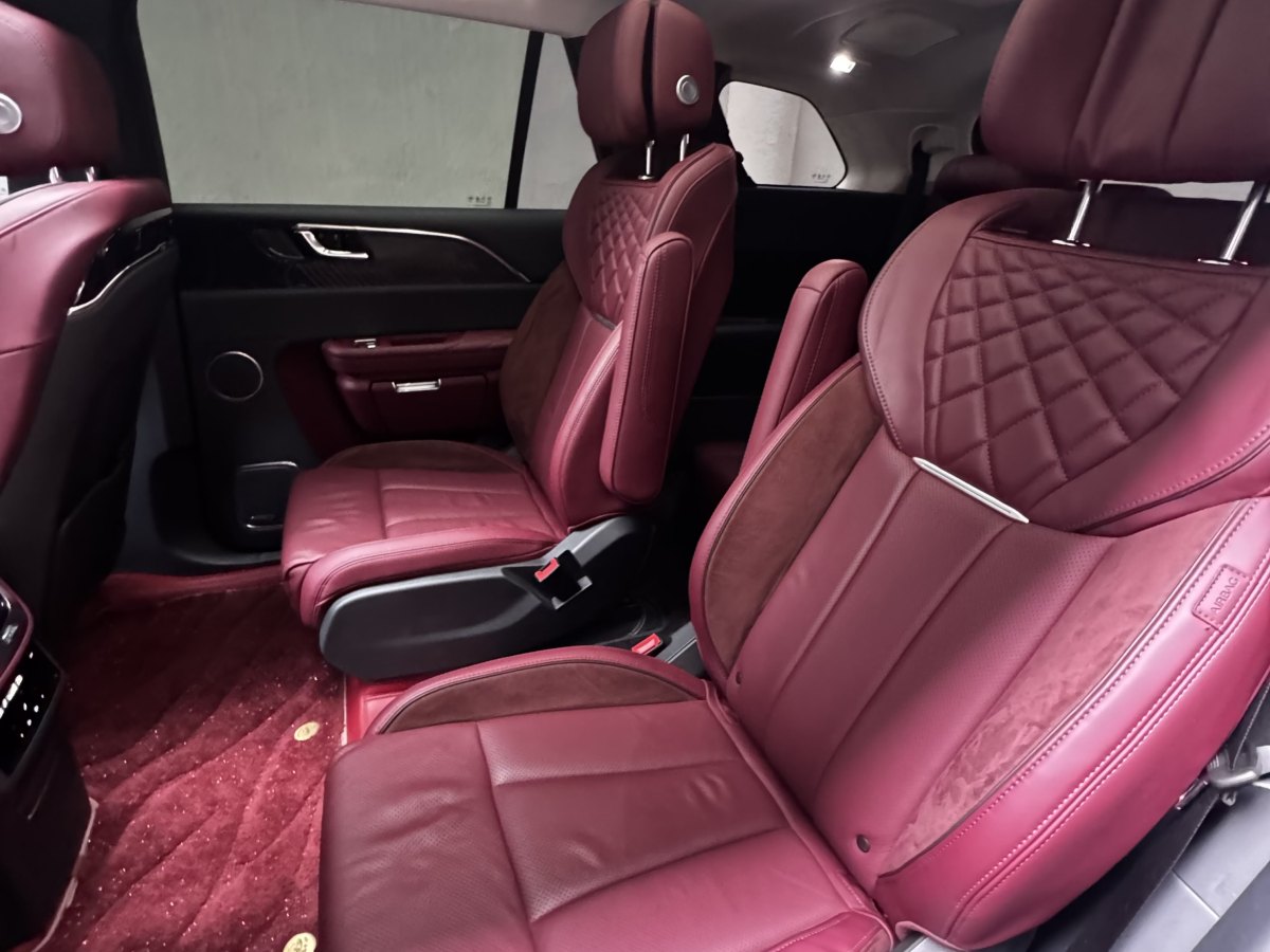 HongQi E-HS9 2021 #9 HongQi E-HS9 2021 immagine di auto #9