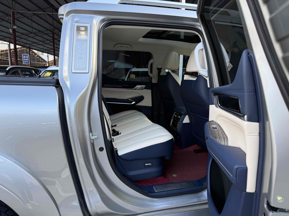 Great Wall Shanhai Pao 2023 car image #9