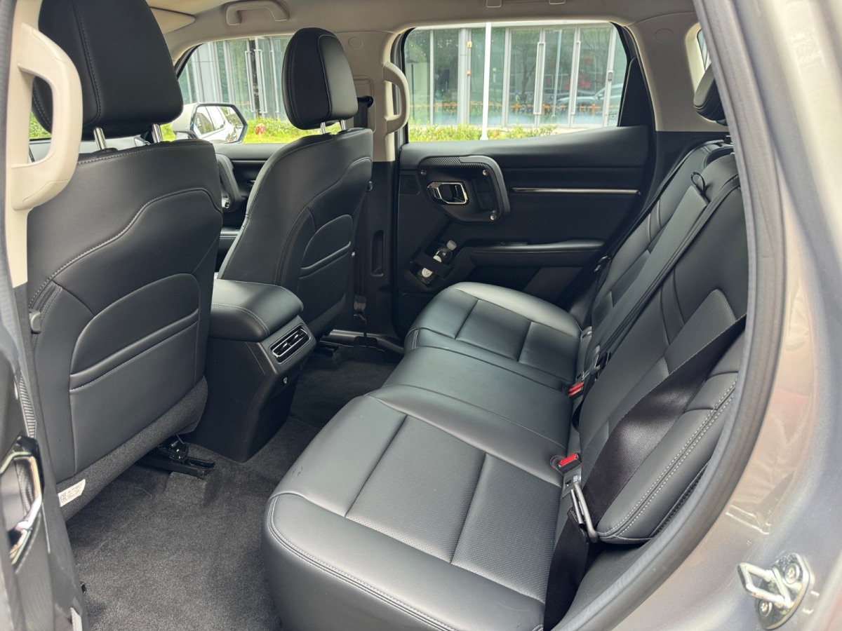 Haval X Dog 2 New Energy 2024 car image #9