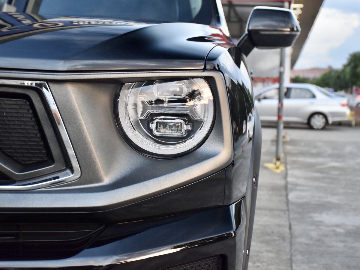 Haval X Dog 2 New Energy 2023 car image #9