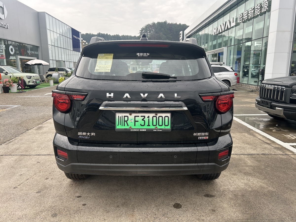 Haval X Dog 2 New Energy 2024 #9 Haval X Dog 2 New Energy 2024 car image #9