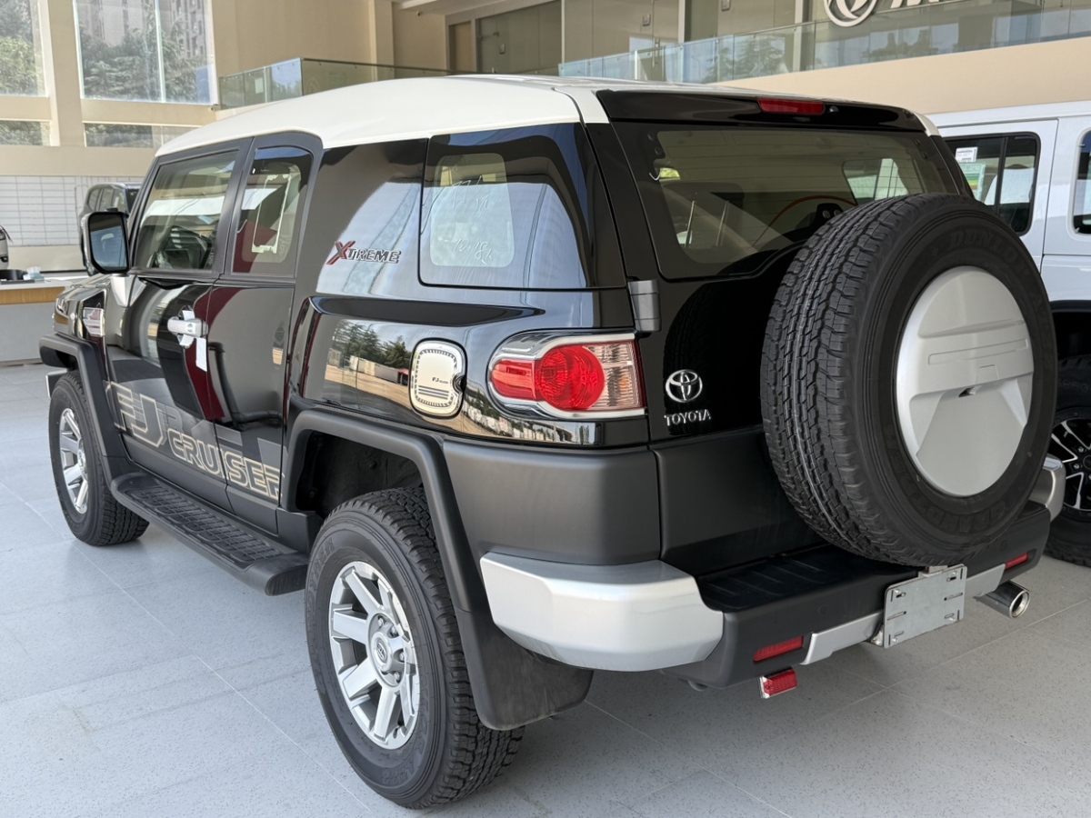 Toyota FJ Cruiser car image #9