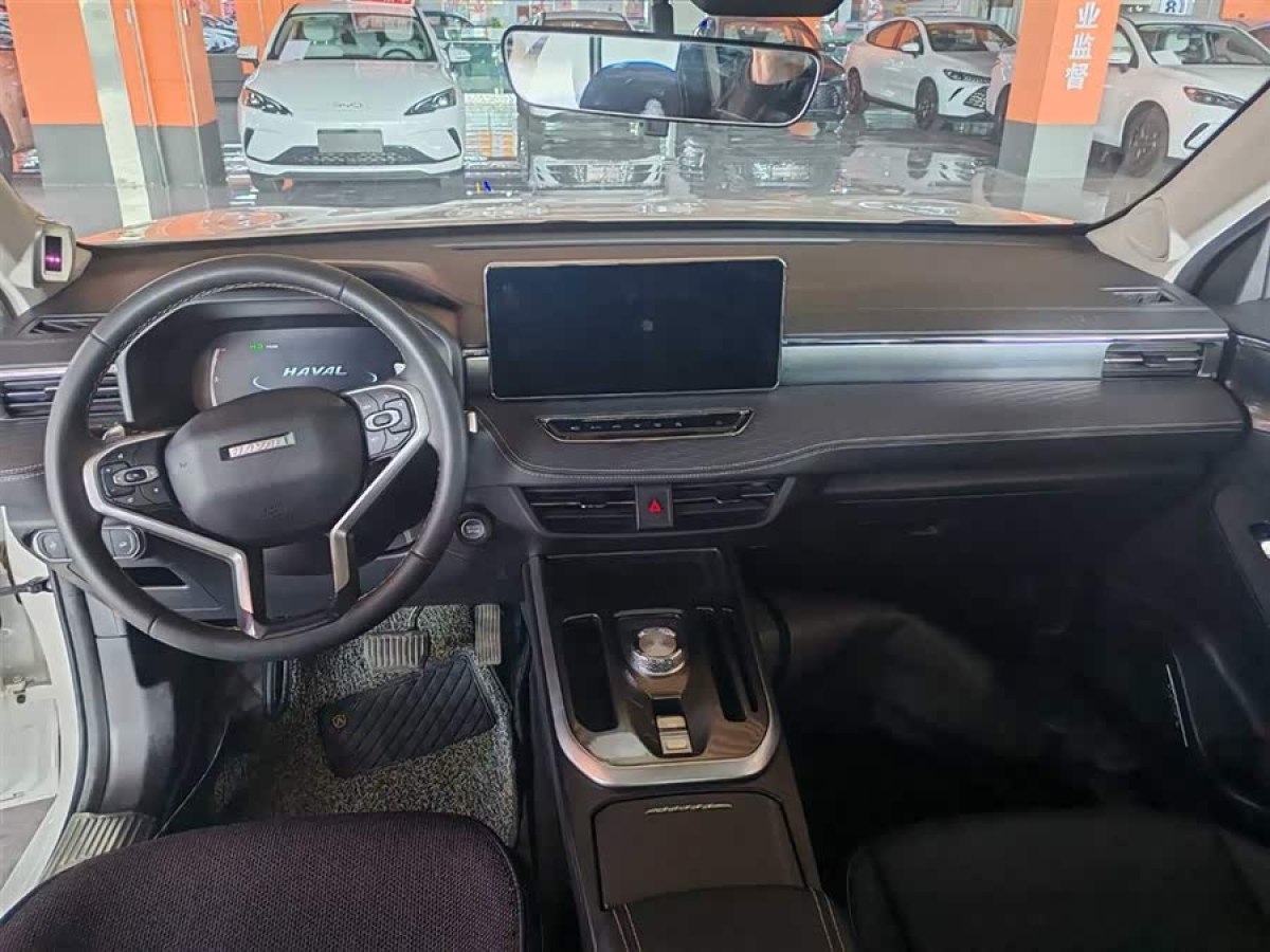 Haval Jolion 2020 car image #9