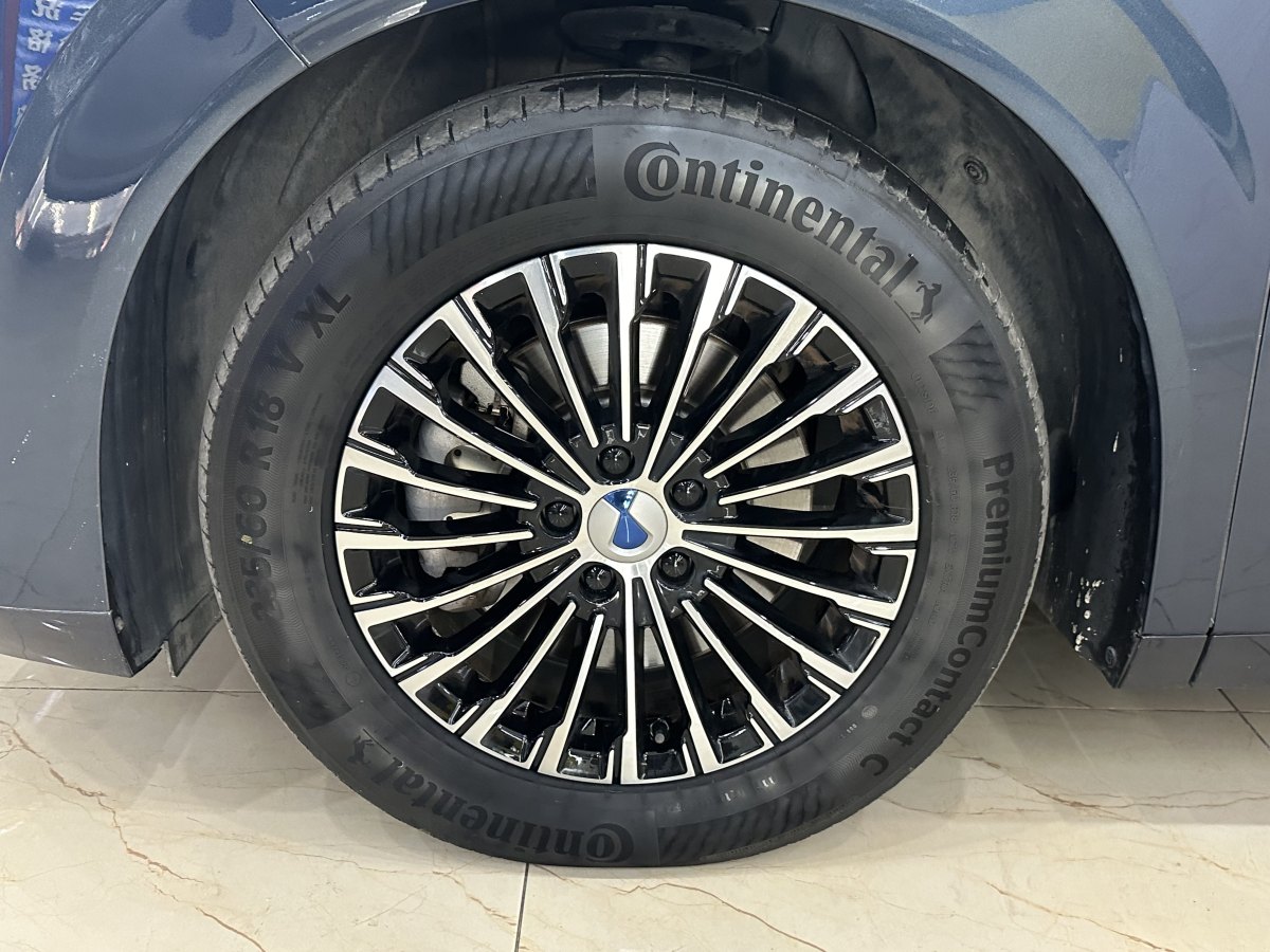 腾势 腾势D9 2023 汽车图片 #9