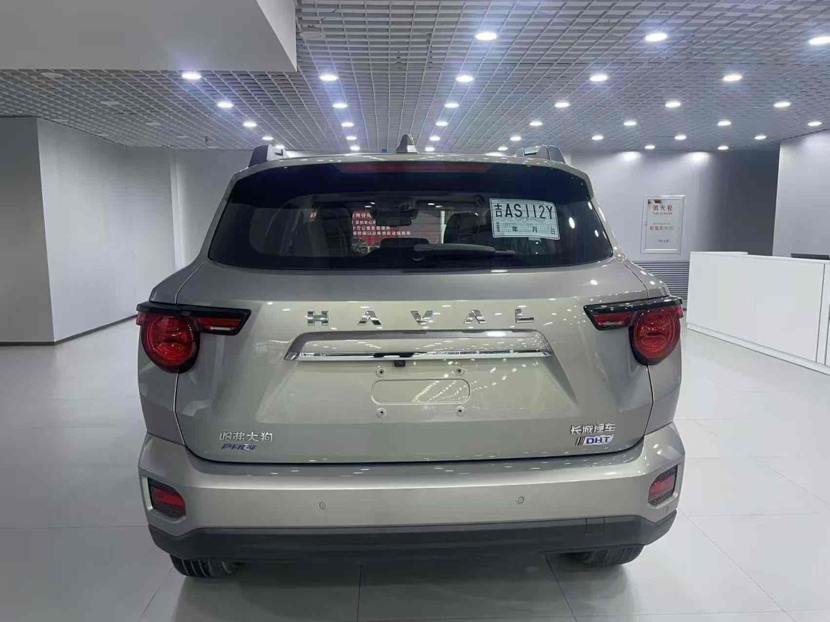 Haval X Dog 2 New Energy 2023 car image #9