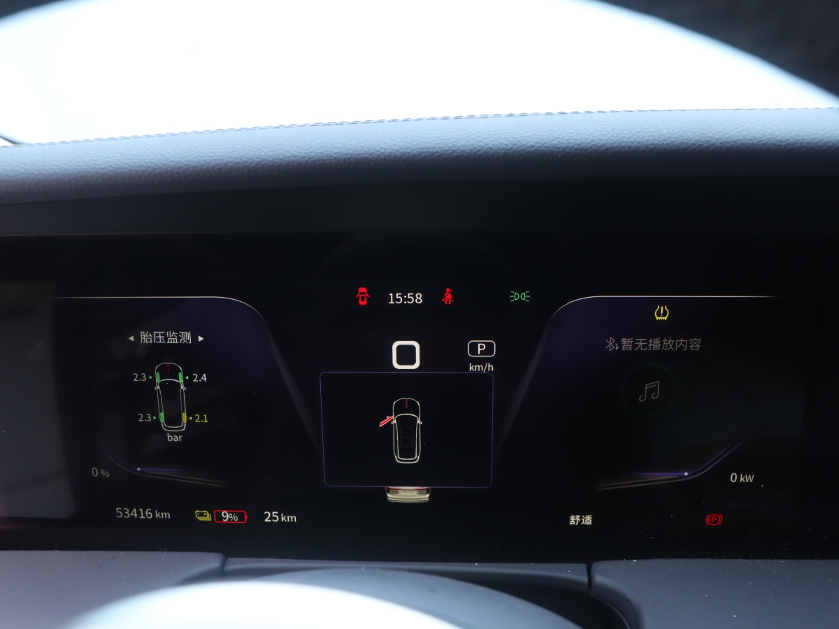 HongQi E-HS9 2023 car image #9