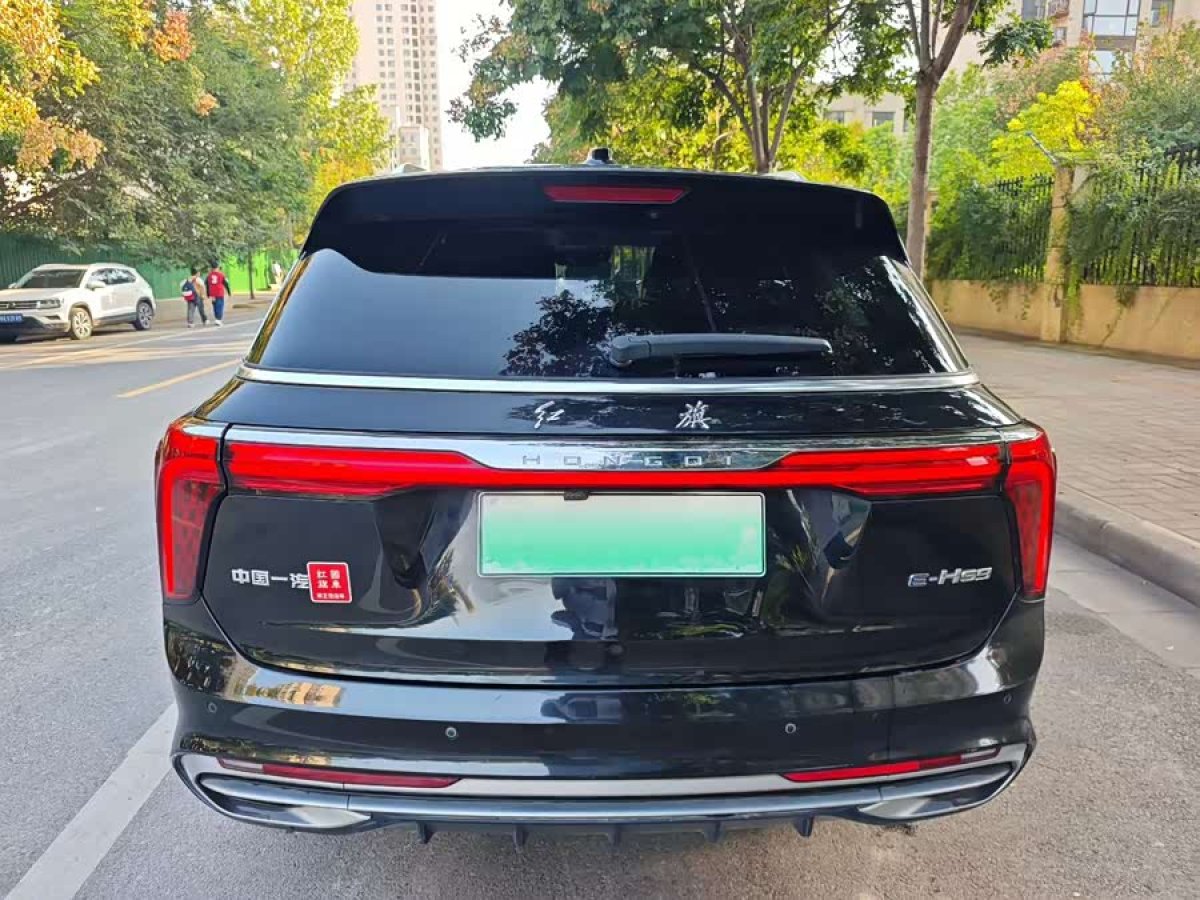 HongQi E-HS9 2022 car image #9