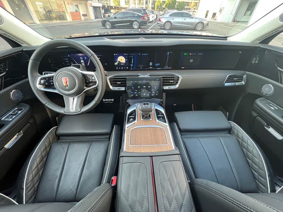 HongQi E-HS9 2025 car image #9