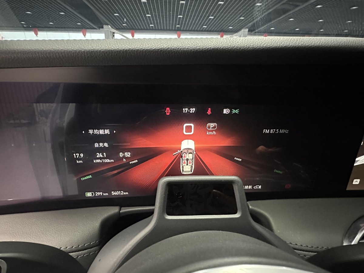 HongQi E-HS9 2021 #9 HongQi E-HS9 2021 car image #9