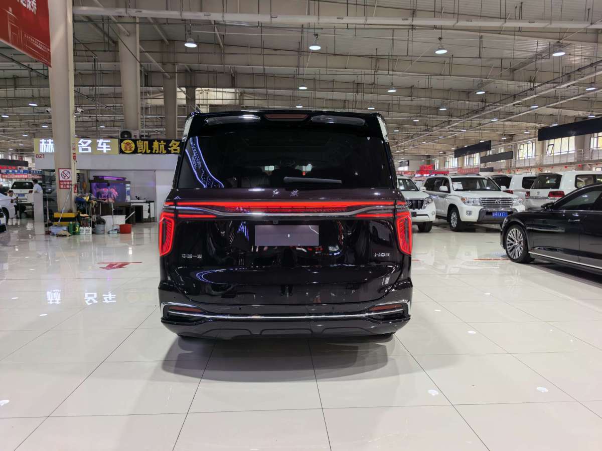 HongQi HQ9 2023 immagine di auto #9