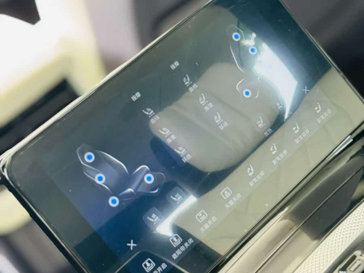 HongQi E-HS9 2020 immagine di auto #9