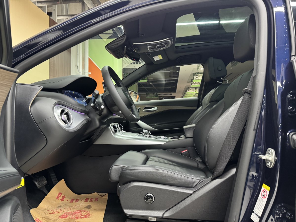 Denza X 2020 #9 Denza X 2020 car image #9