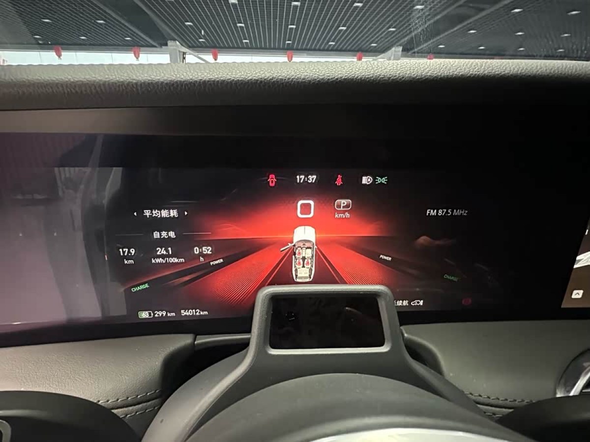 HongQi E-HS9 2021 #9 HongQi E-HS9 2021 immagine di auto #9