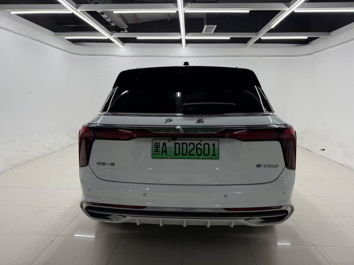 HongQi E-HS9 2022 #9 HongQi E-HS9 2022 car image #9