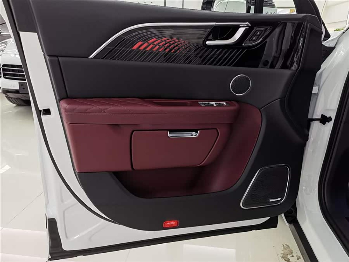 HongQi E-HS9 2021 #9 HongQi E-HS9 2021 immagine di auto #9