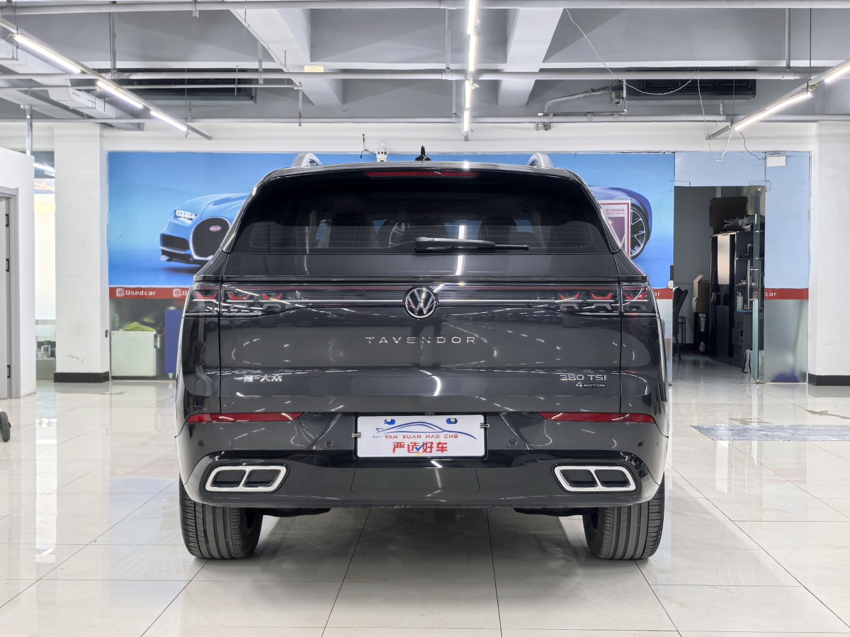 Volkswagen Tavendor 2023 car image #9