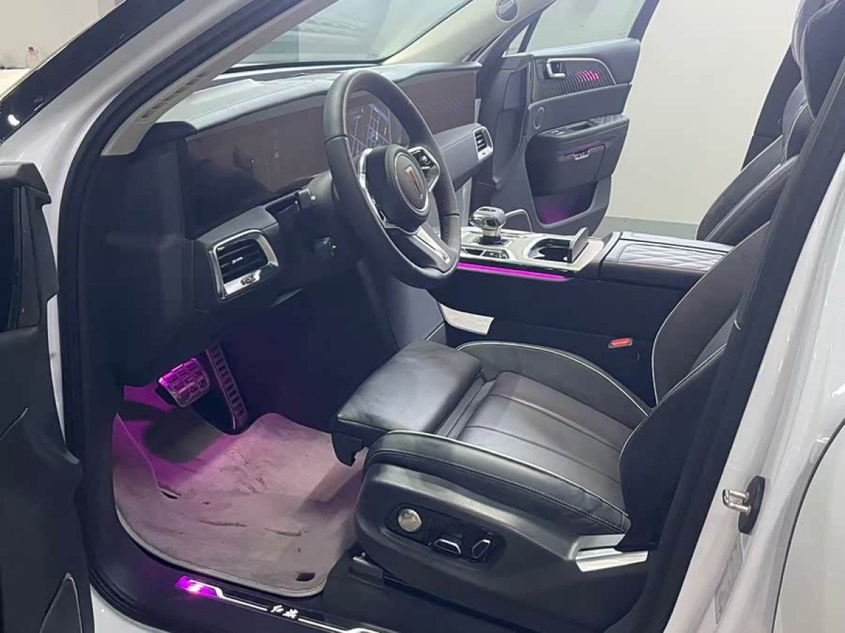 HongQi E-HS9 2025 immagine di auto #9