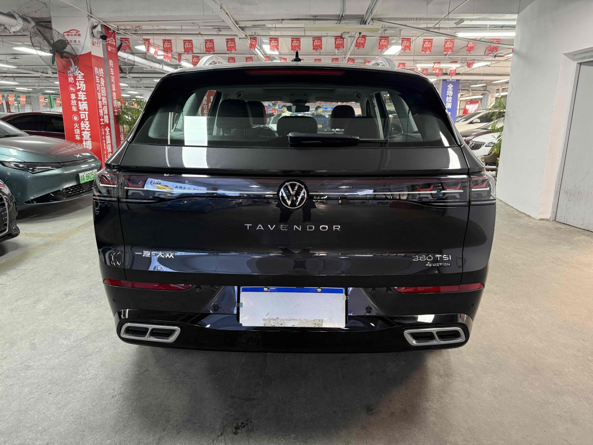 Volkswagen Tavendor 2023 car image #9