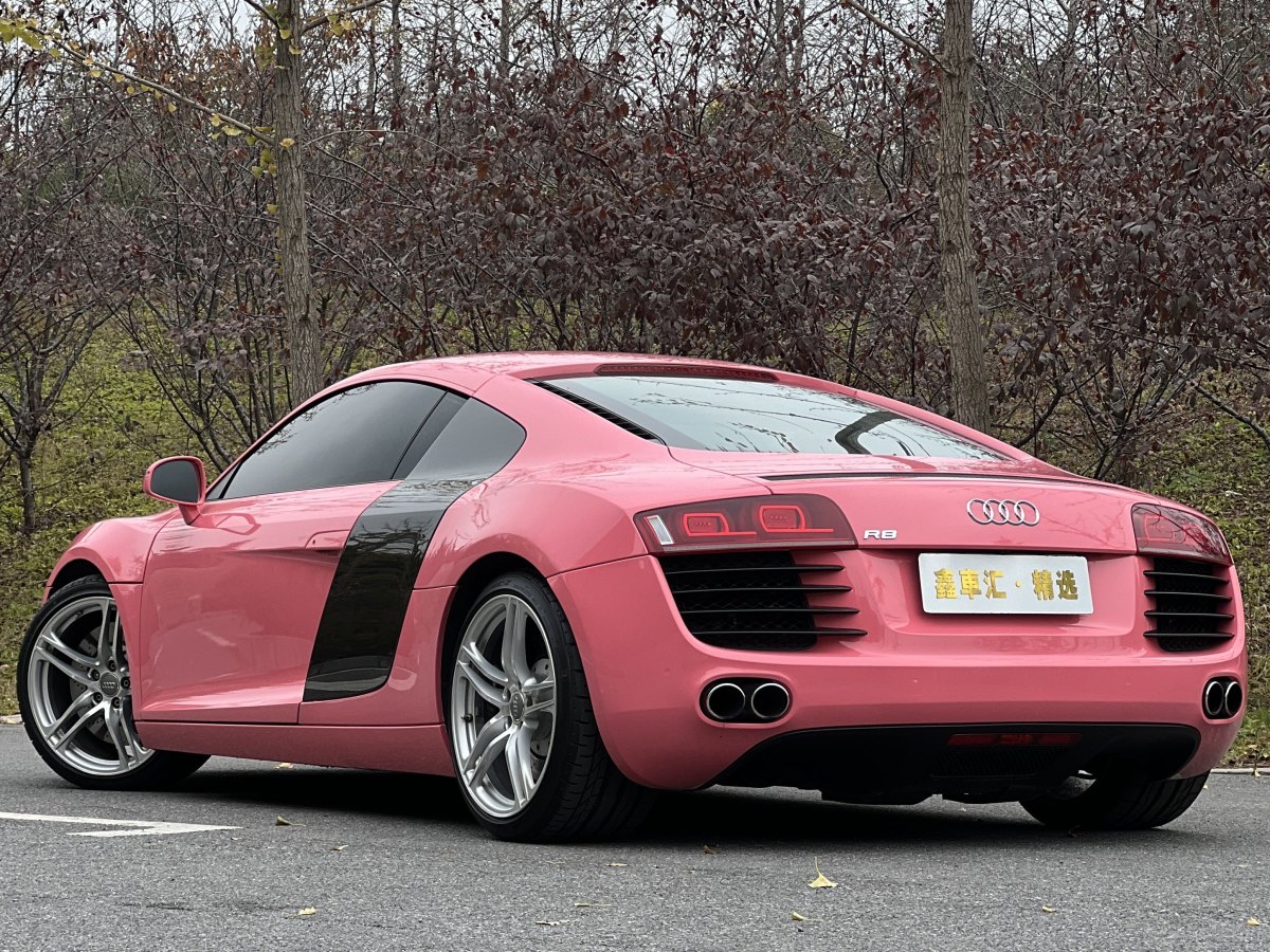 Audi R8 2010 #9 Audi R8 2010 car image #9