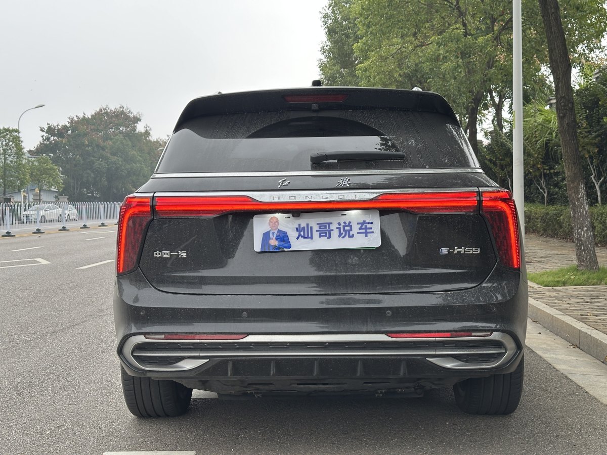 HongQi E-HS9 2022 #9 HongQi E-HS9 2022 car image #9