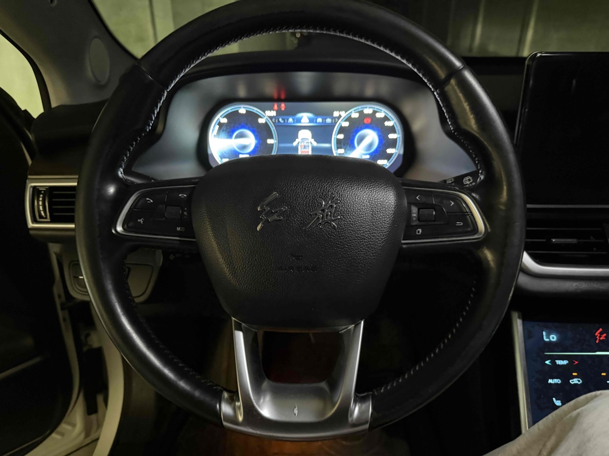 HongQi E-HS3 2020 #9 HongQi E-HS3 2020 immagine di auto #9