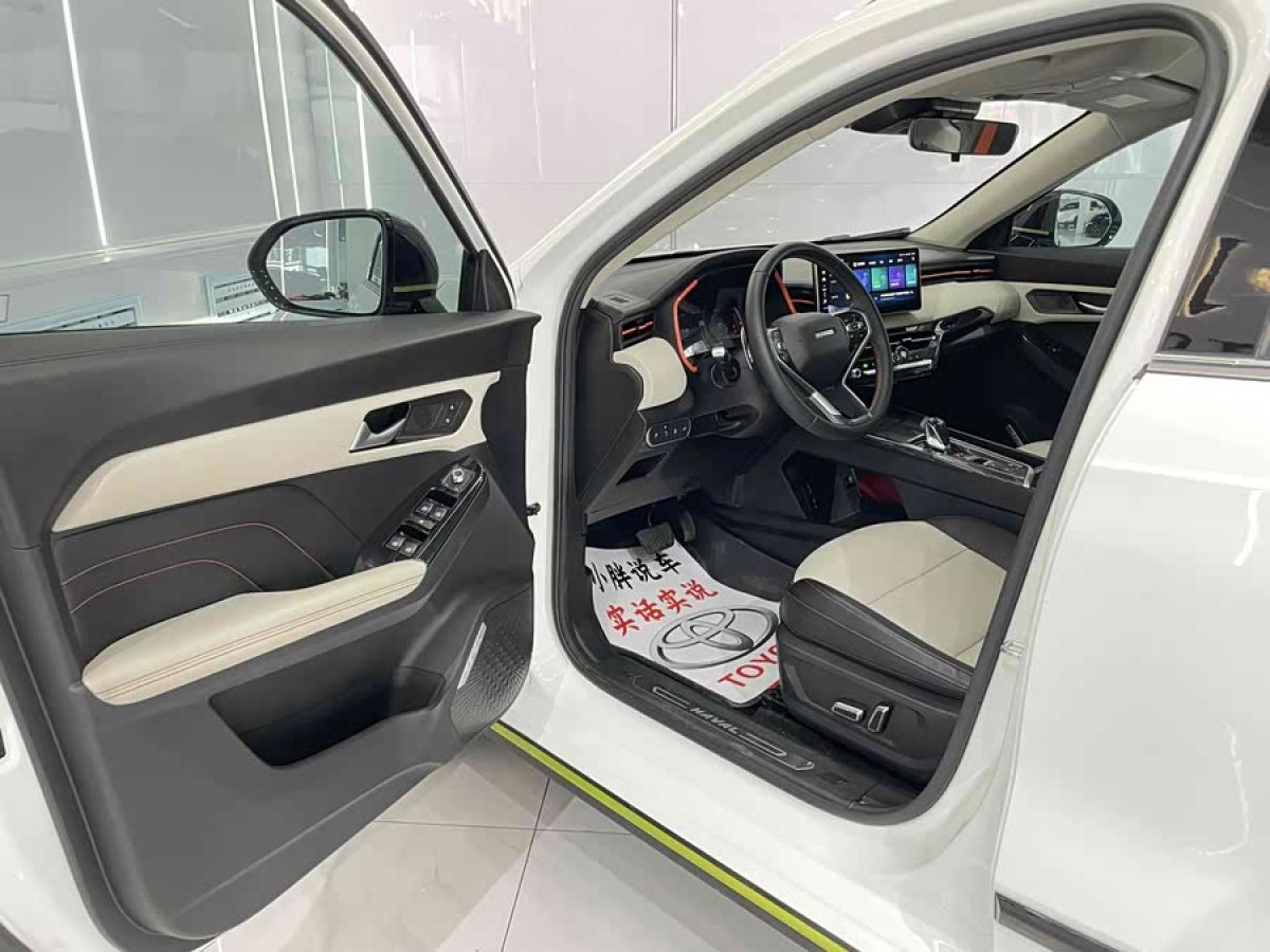 Haval Rabbit 2021 car image #9