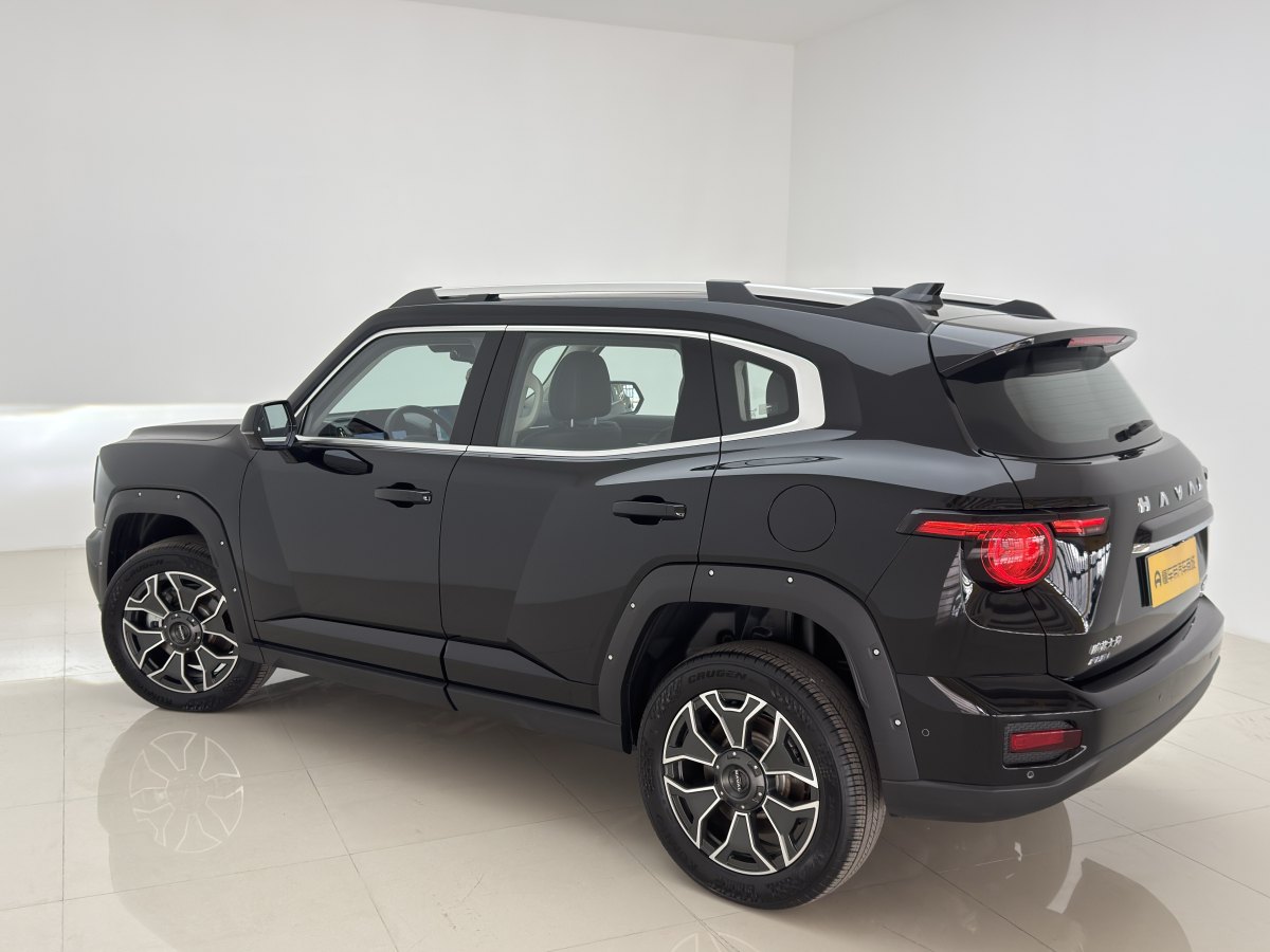 Haval Dargo 2 2024 car image #9