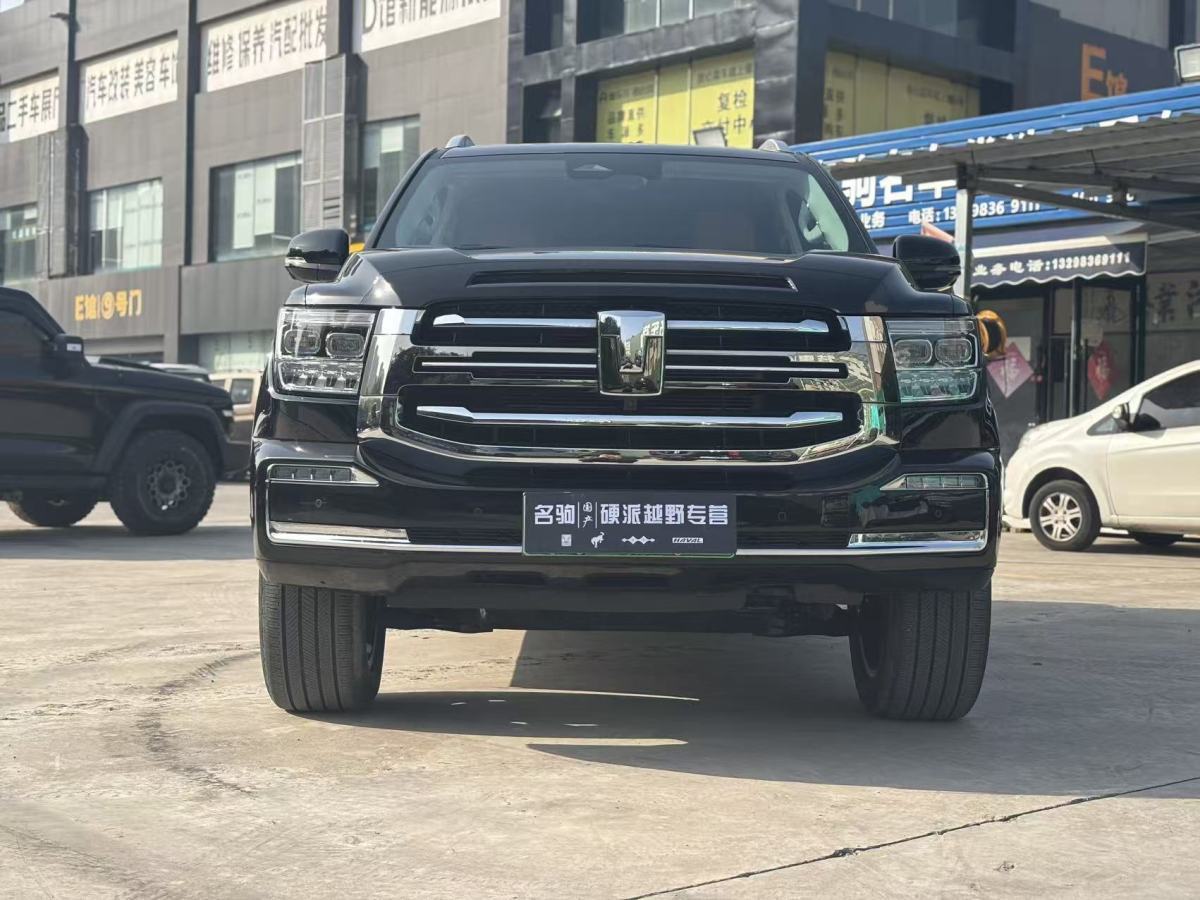 Tank 500 New Energy 2024 car image #9