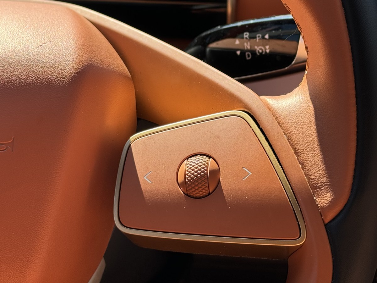 哪吒汽车 哪吒X 2024 汽车图片 #9